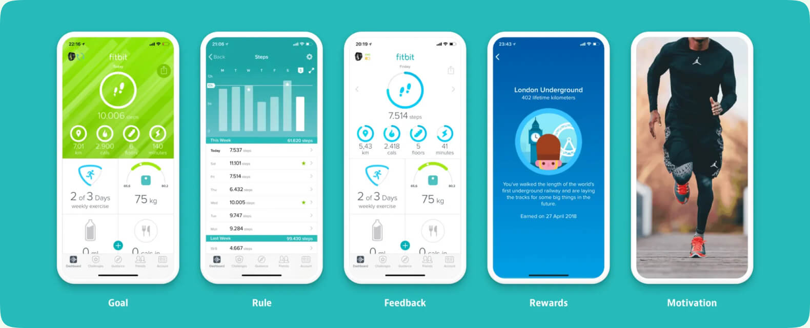 Fitbit’s App interface and functionality